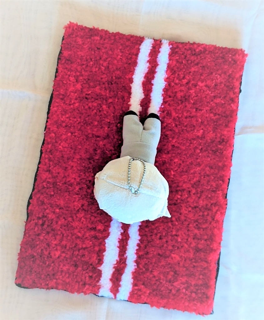 マスタングラグA4