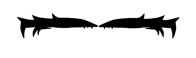 Eyeliner