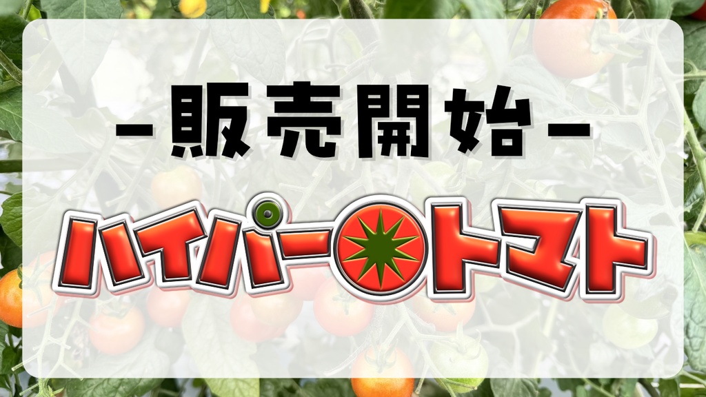 ハイパートマト