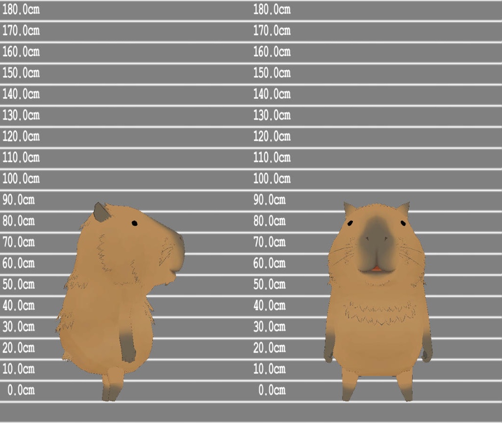 カピバラのかっぴー Capybara Kappy