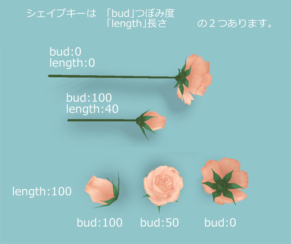 バラの花 Rose stick