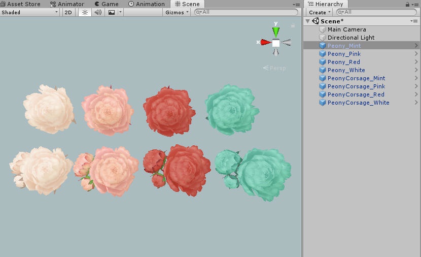 シャクヤクのコサージュ Peony corsage