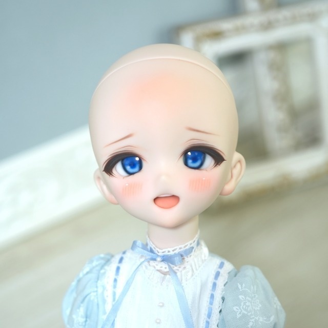 DDH-10 SW肌 カスタムヘッド+アイ(デカール式)※盛りあり