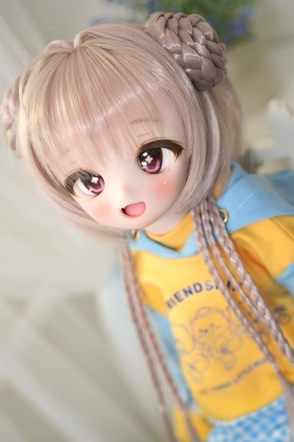 DDH-01 SW肌 カスタムヘッド+アイ(デカール式)