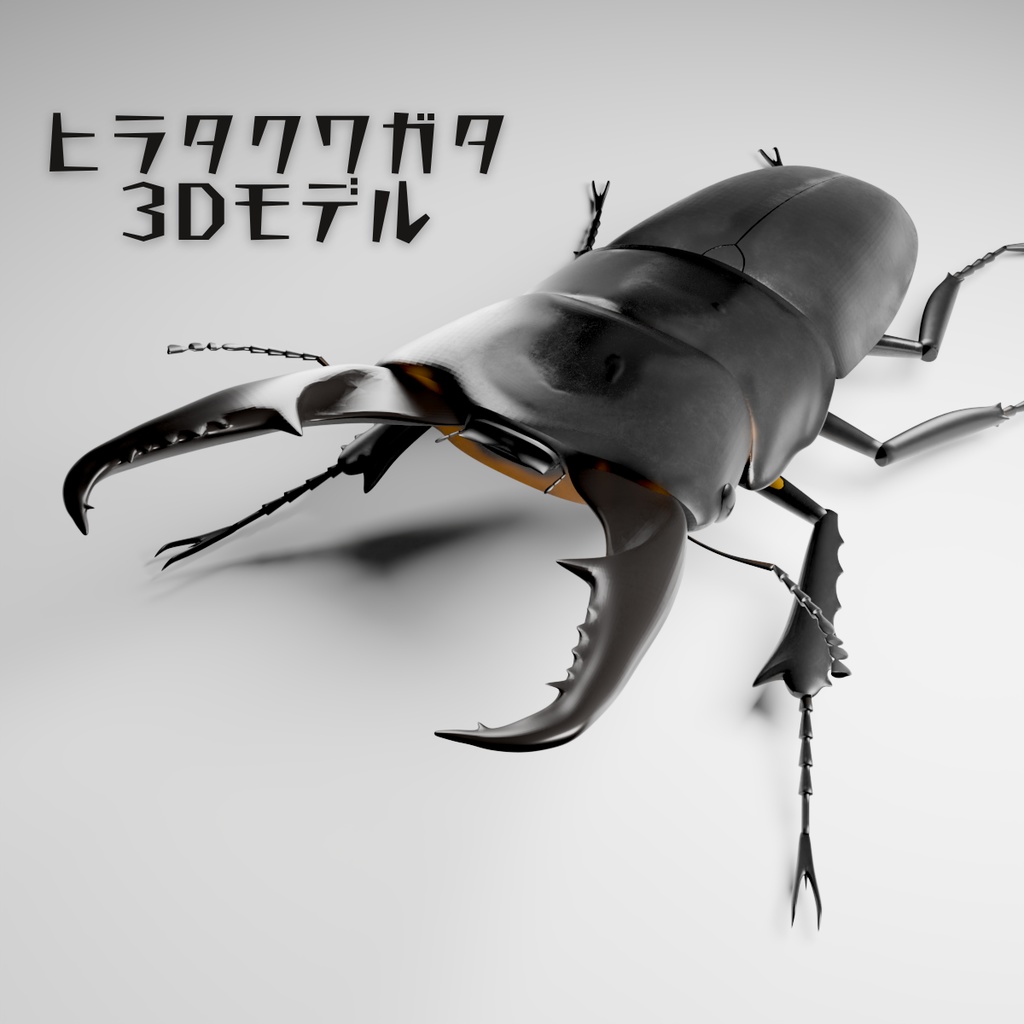 ヒラタクワガタ　3Dモデル