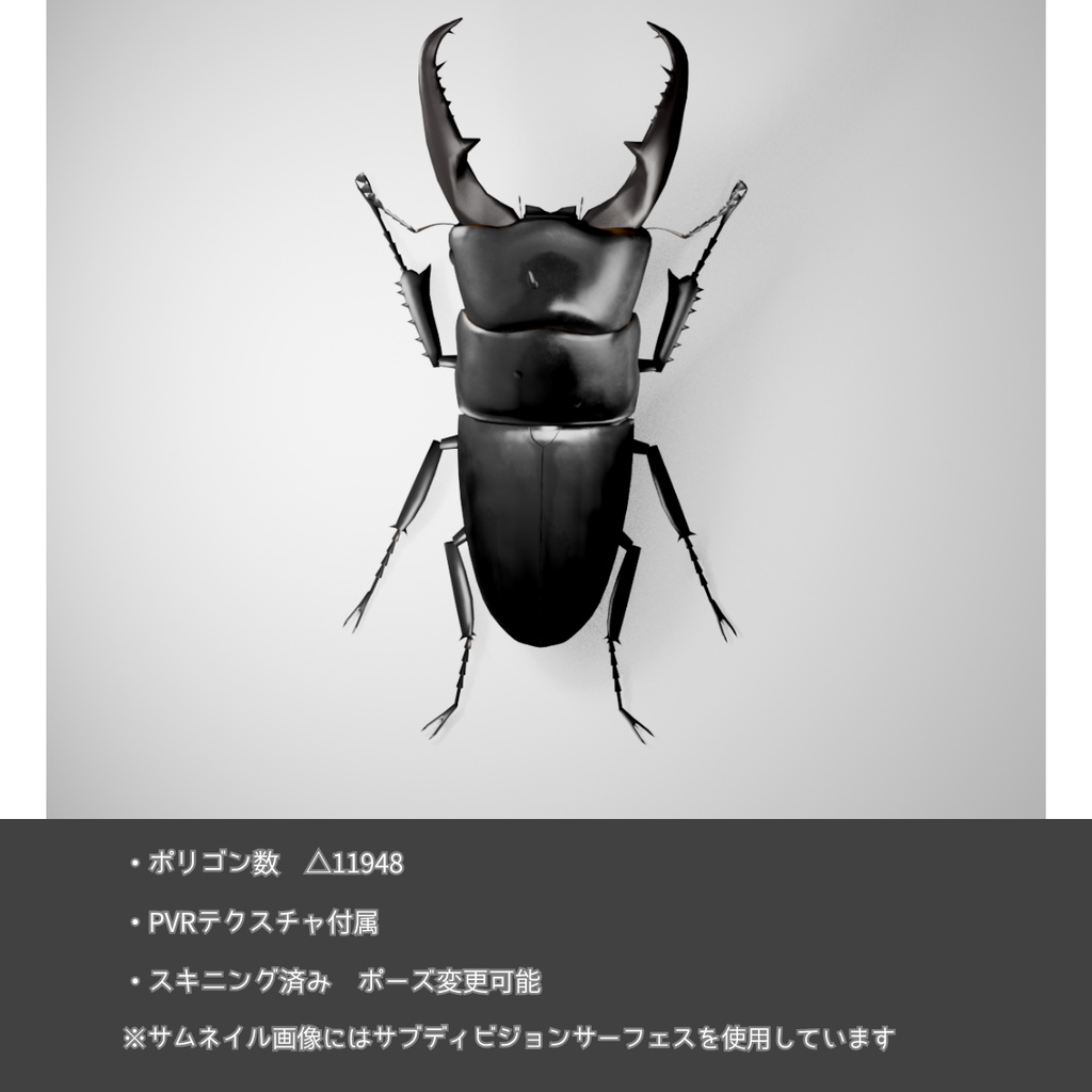ヒラタクワガタ 3Dモデル