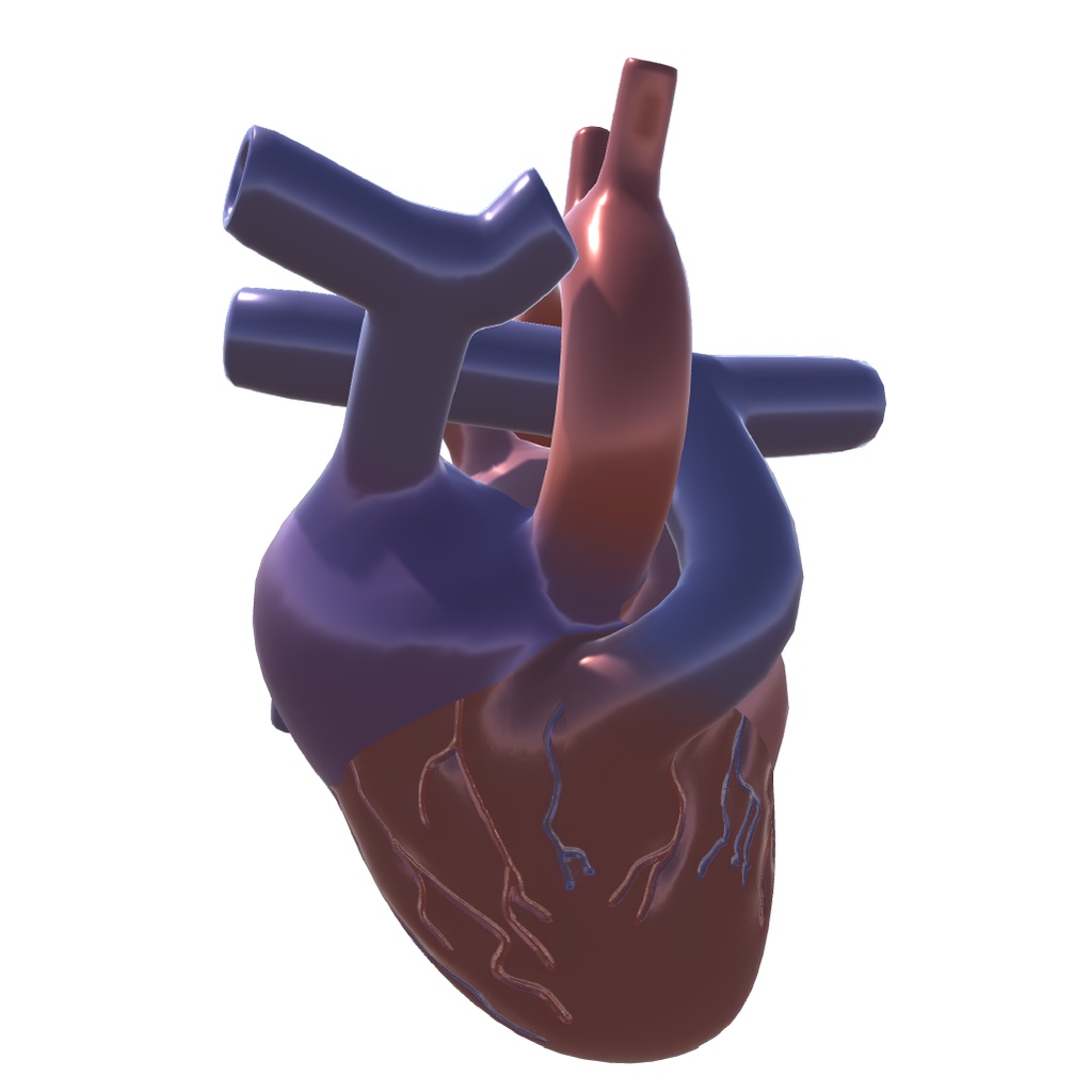 3Dモデル『心臓』