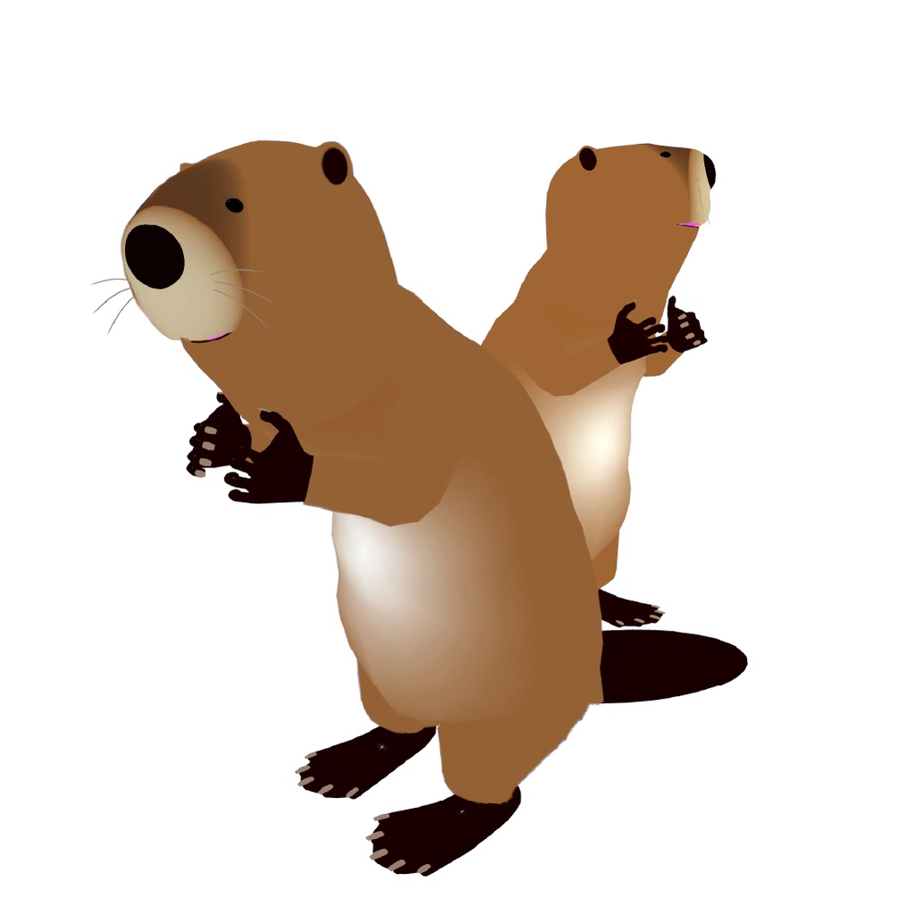 3Dモデル『海狸』