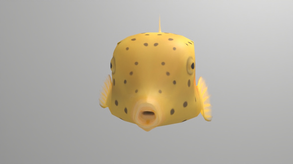 3Dモデル ハコフグ