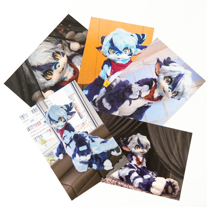 POST CARD SET B