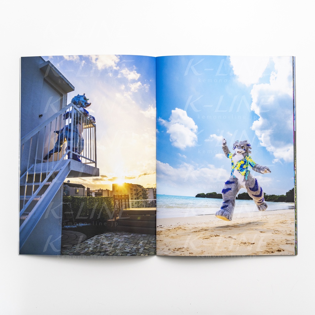 Four Years, Four seasons