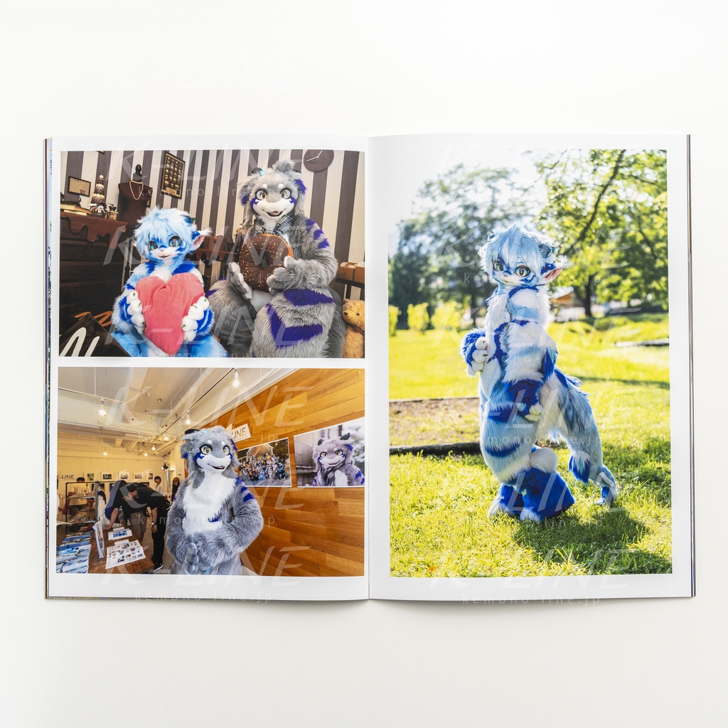 Four Years, Four seasons