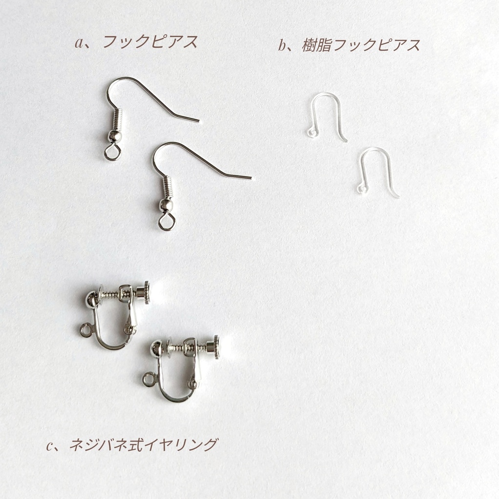 聡明な夫人の耳飾り