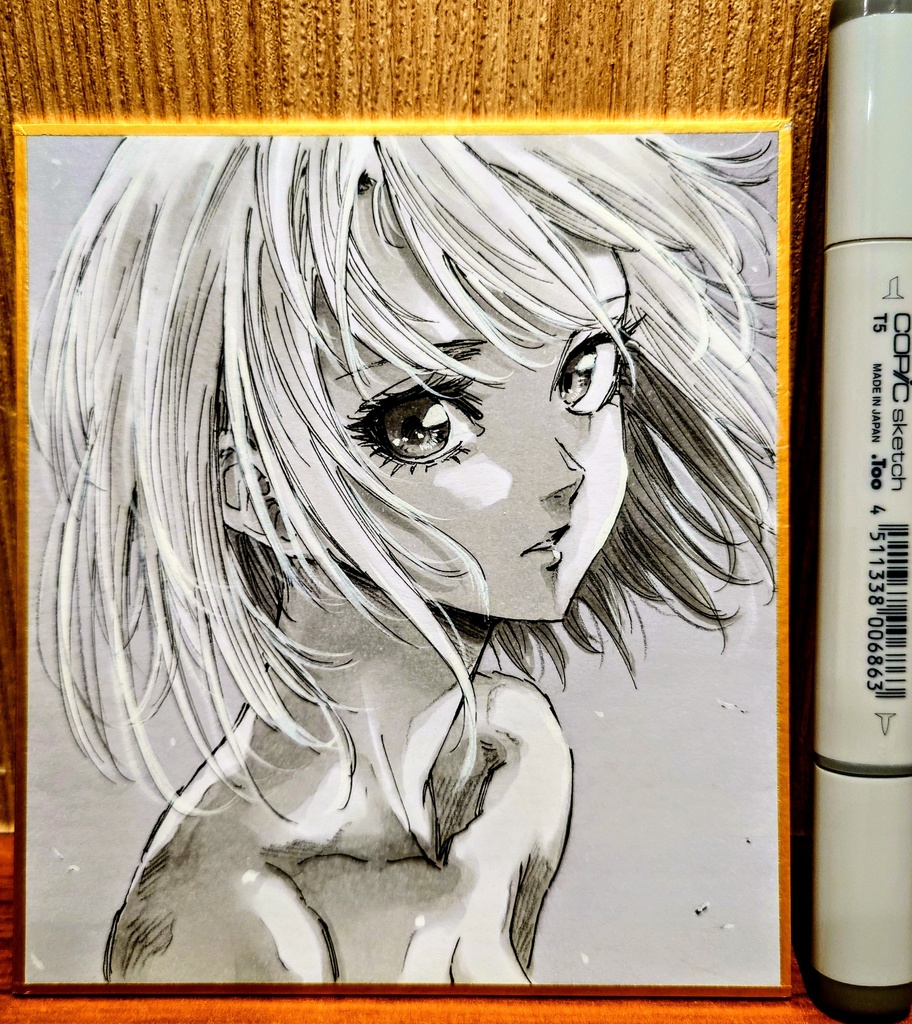 オリジナルイラスト 小色紙