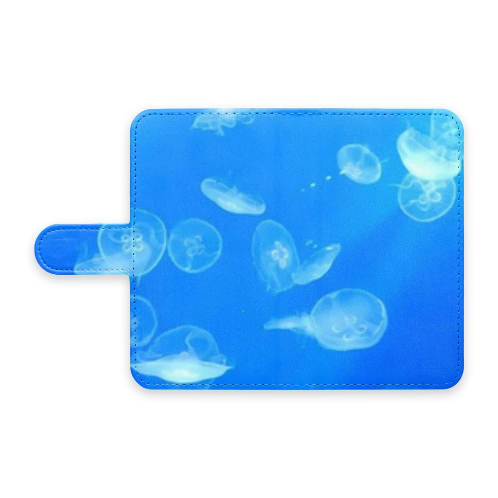 クラゲ