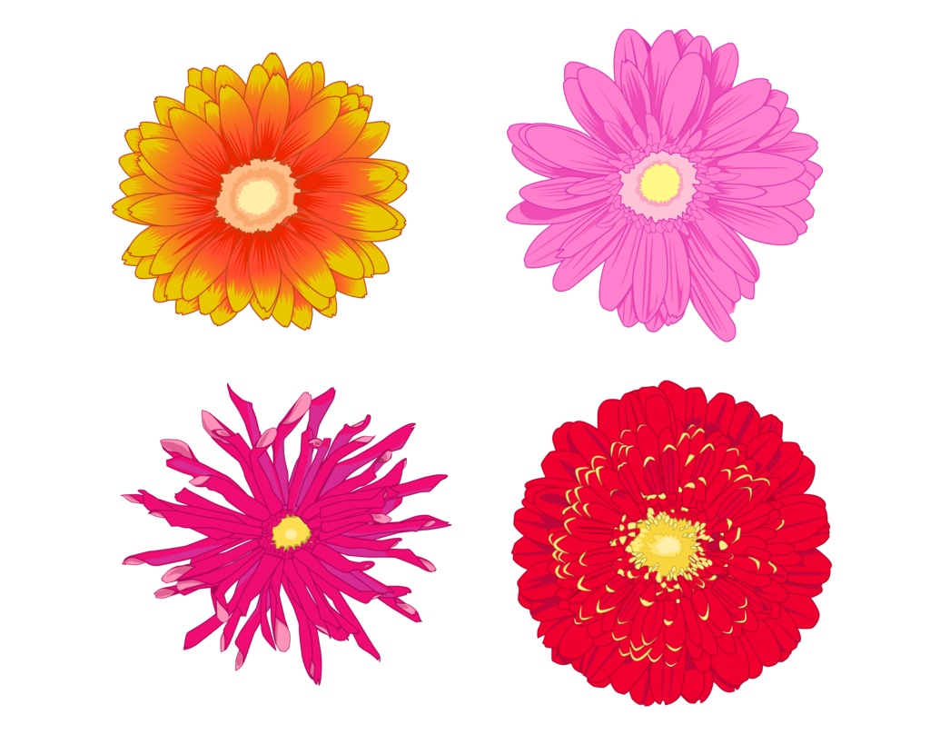 ガーベラのイラスト