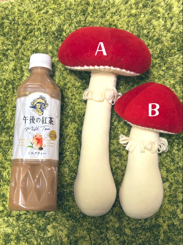 あやしいきのこ