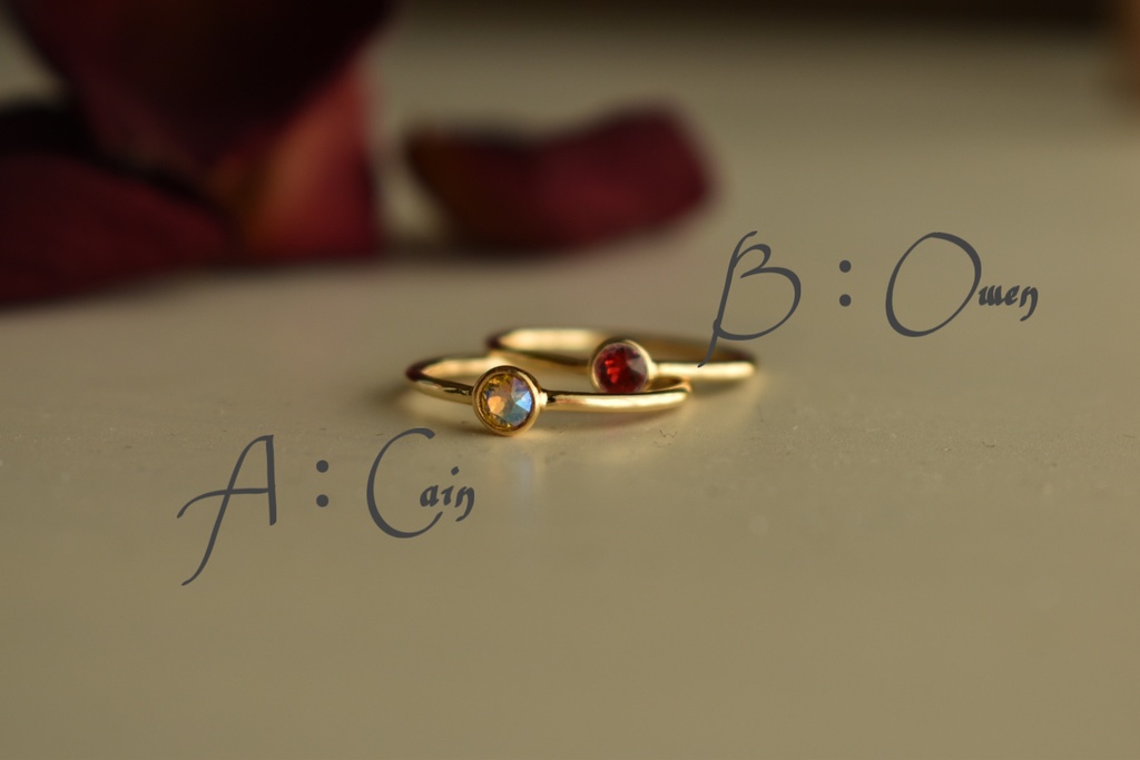 魔法使いの約束 小さなスワロフスキーのラウンドリング