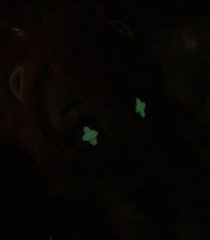 メンダコストロベリーアイスちゃん