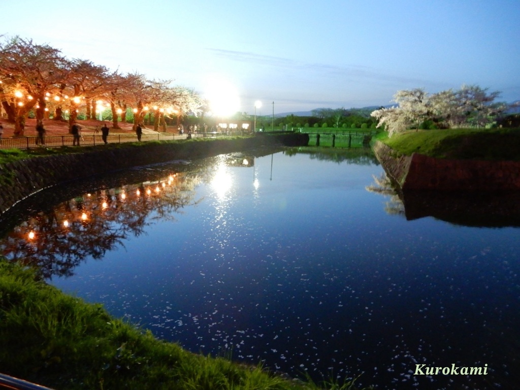 夜桜になる前
