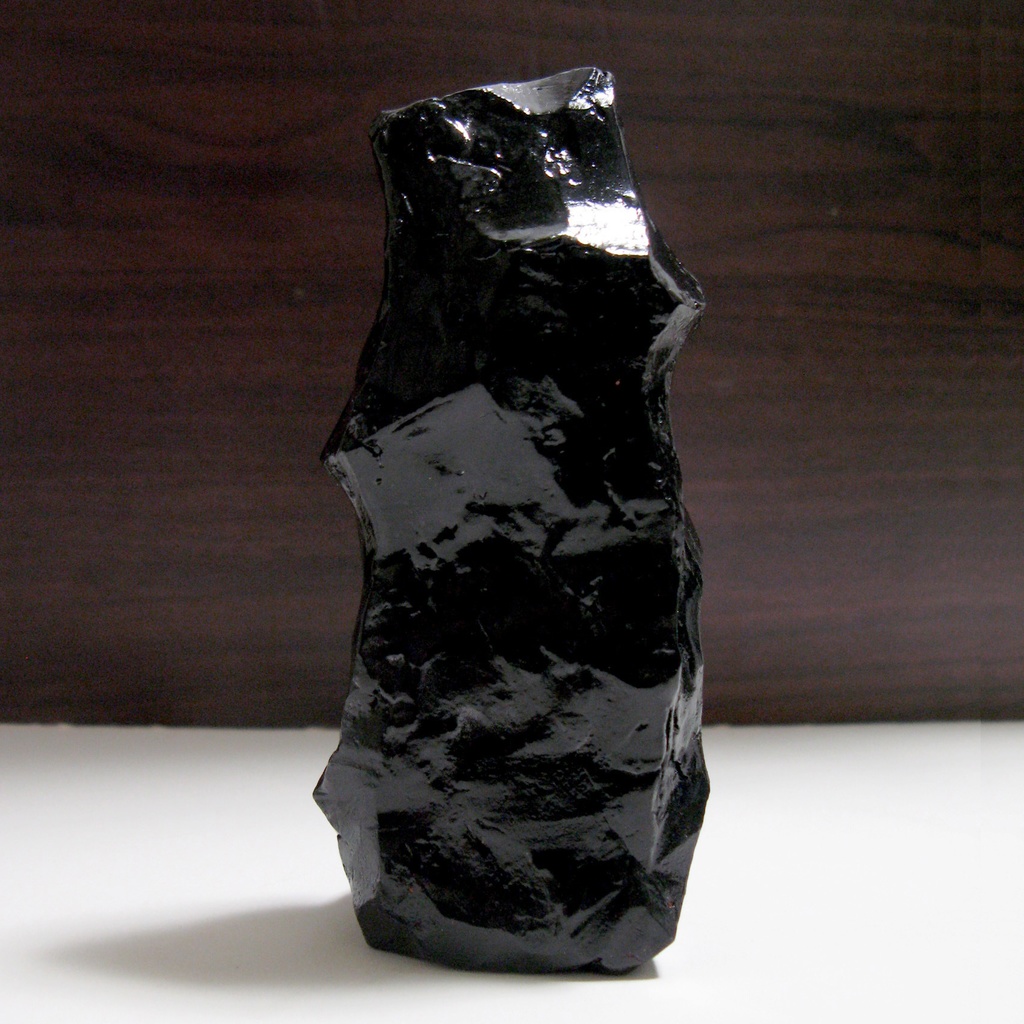 ヒト型真空管の標本 b