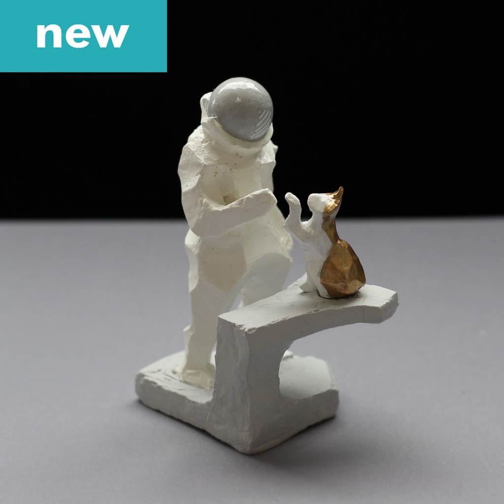 コスモノートと猫