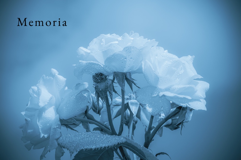 CoC6th「Memoria」