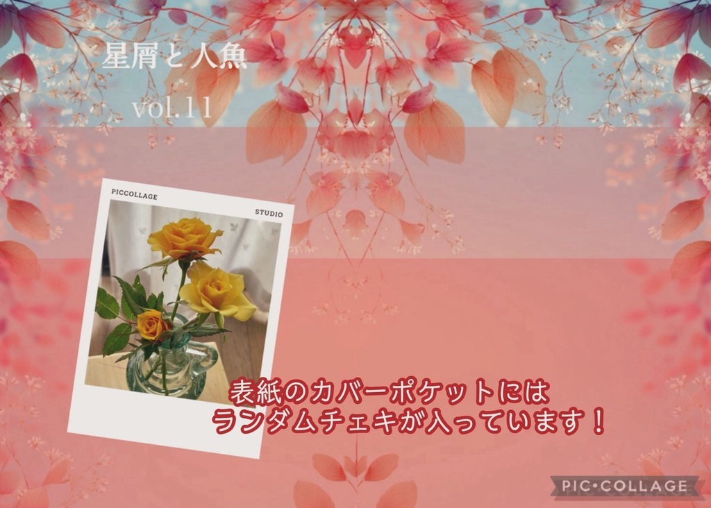 星屑と人魚 vol.11