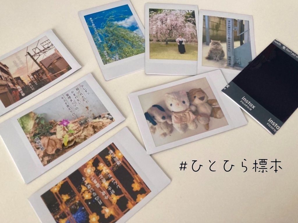 星屑と人魚 vol.11