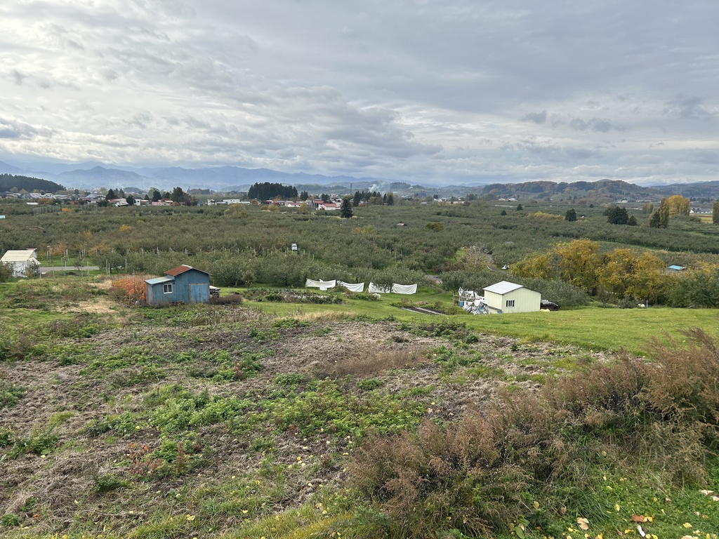 日本の山々の景色