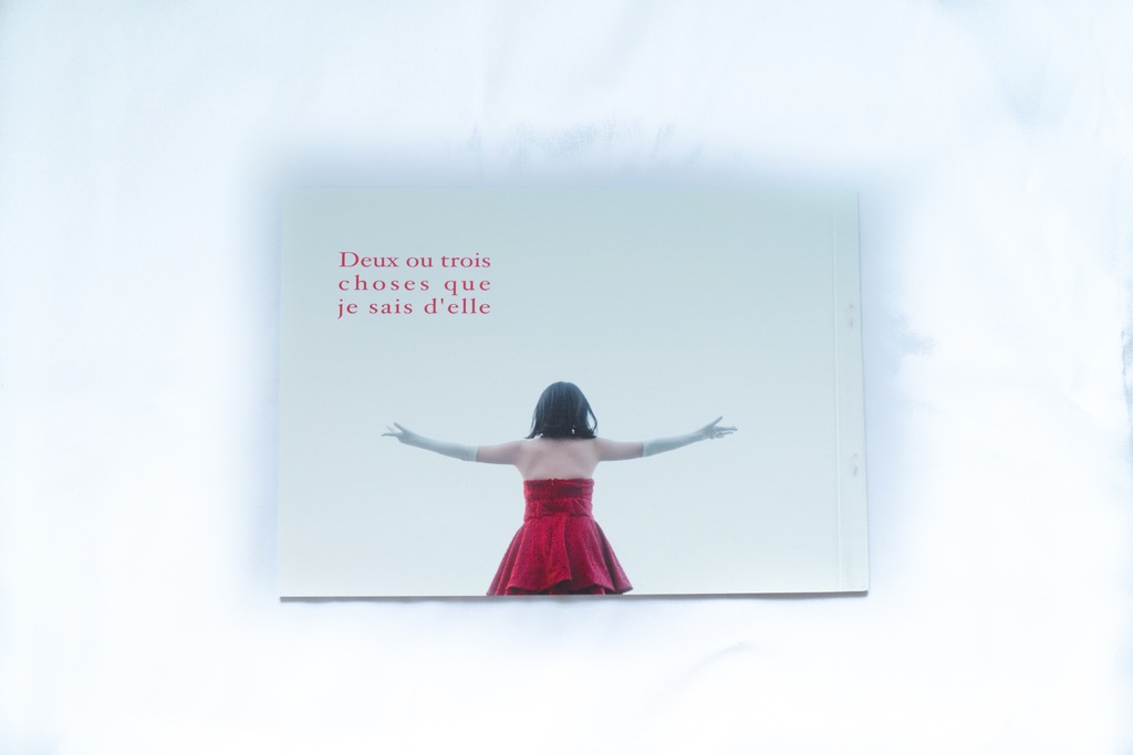 PERFECT BLUEcos写真集「彼女について私が知っている 二、三の事柄」