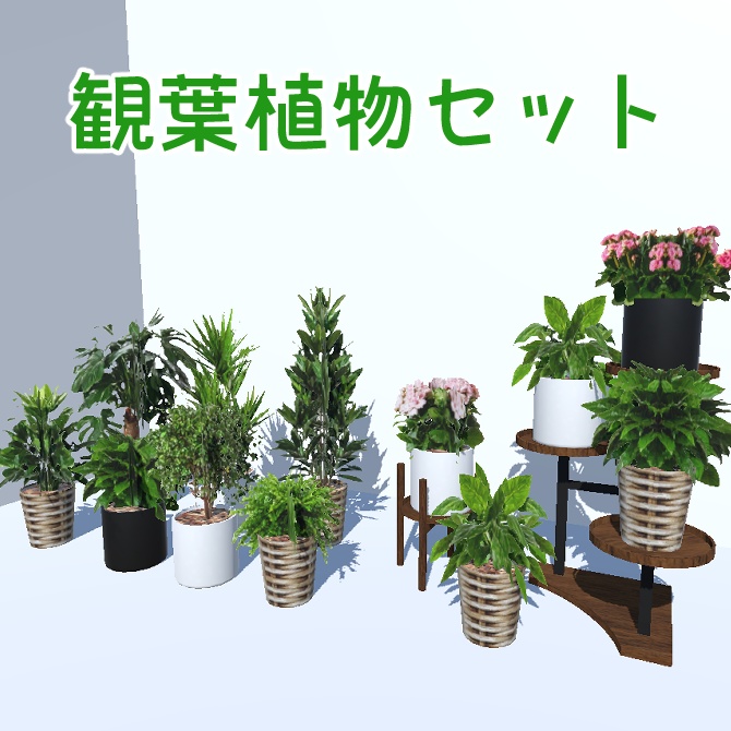 観葉植物セット