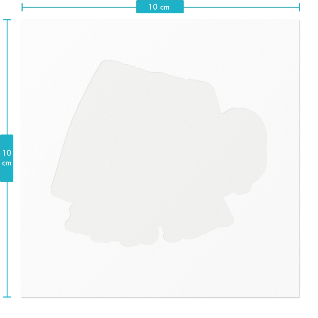 苺サンドと白文鳥