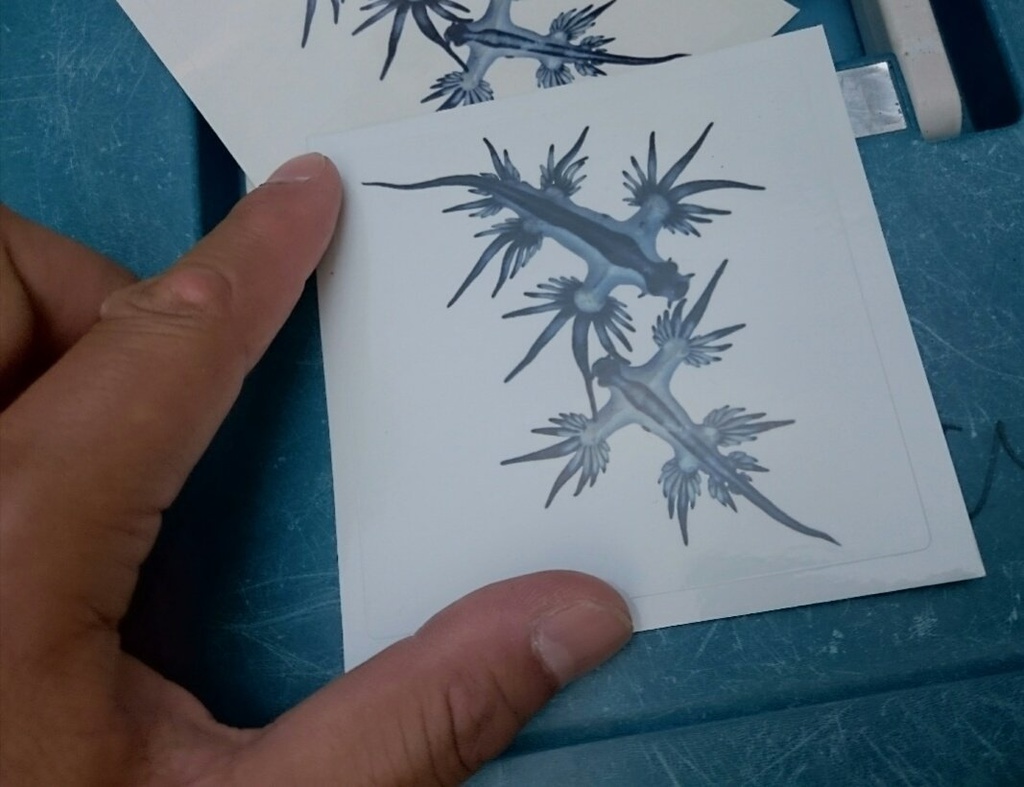 アオミノウミウシのステッカー 10cm角・白無地