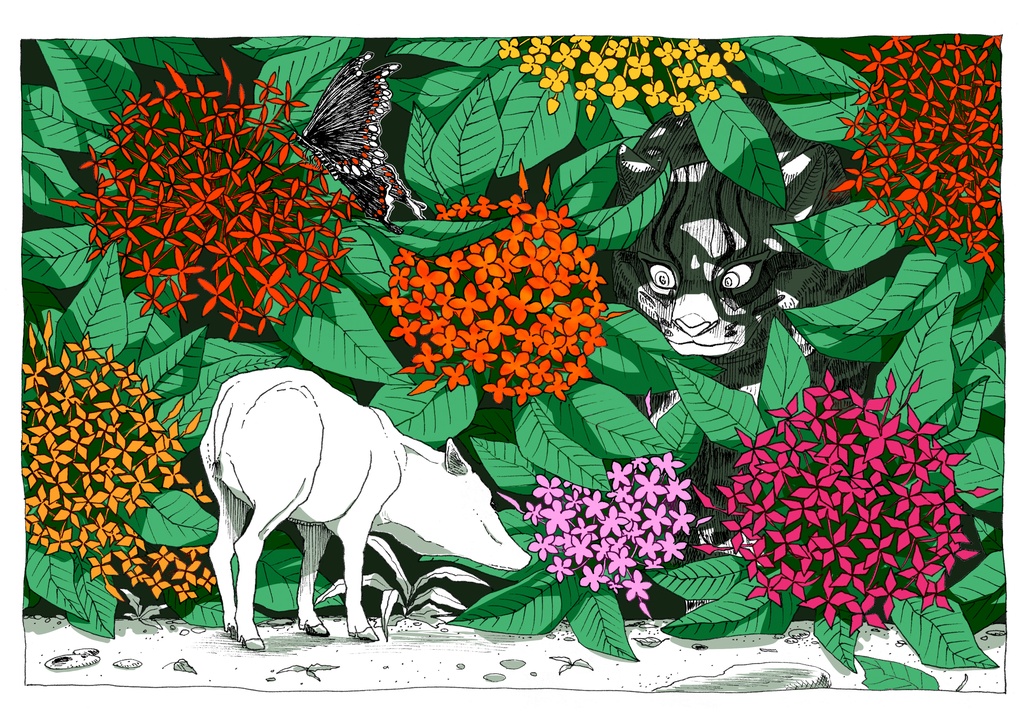 ポストカード(各種別売り)