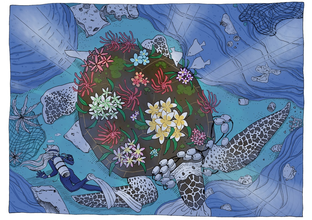 ポストカード(各種別売り)