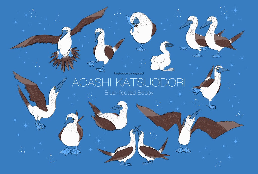 アオアシカツオドリ 三角ポーチ