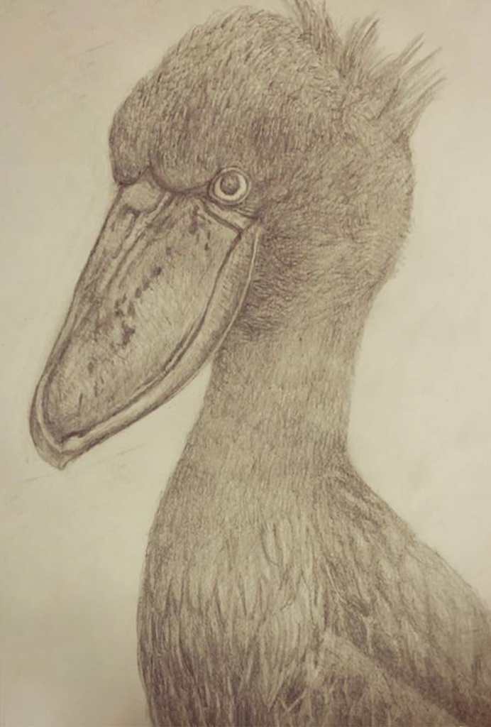 ハシビロコウTシャツ - 顔アップバージョン(ブラック)