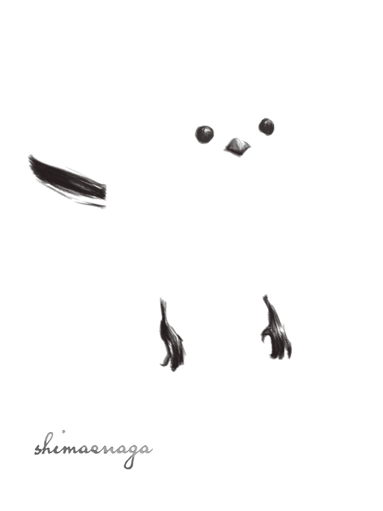 雪の妖精・シマエナガTシャツ