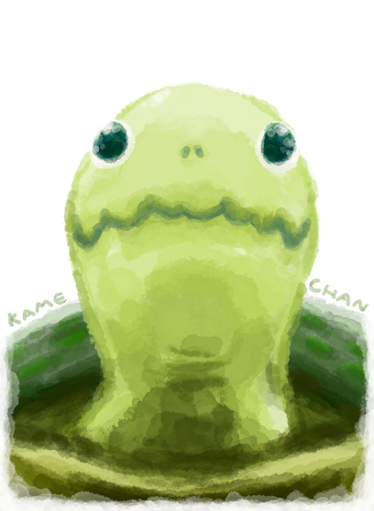 亀ちゃん(KAME-CHAN)Tシャツ