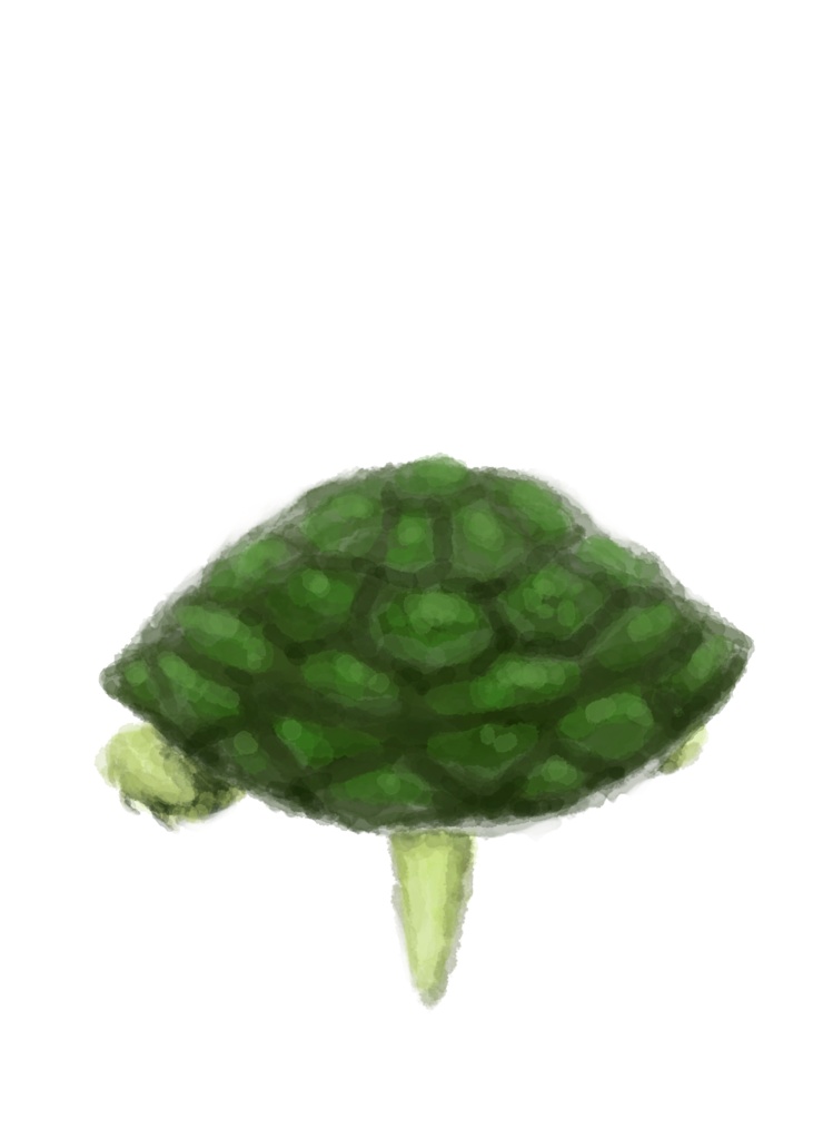 亀ちゃん(KAME-CHAN)Tシャツ