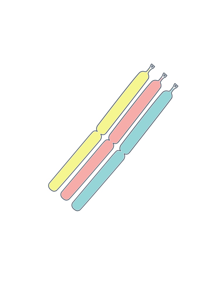 「どっち?」と選択を迫られる凍らせてポキッと折って食べる冷たいアレのTシャツ