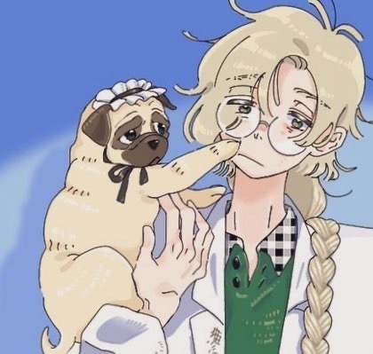 いぬポストカード『岳先生』