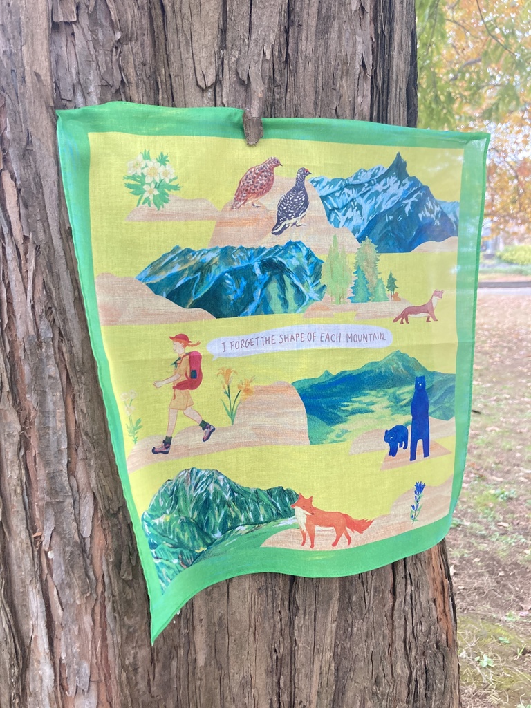 I FORGET THE SHAPE OF EACH MOUNTAIN.