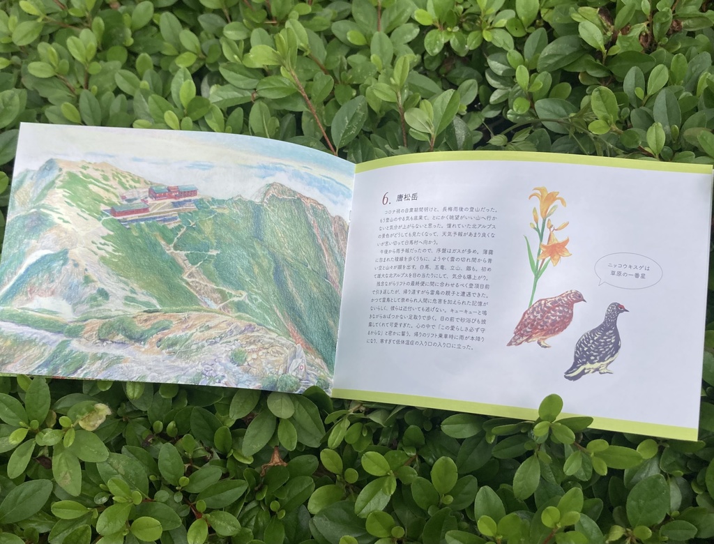 ひとりアルプス