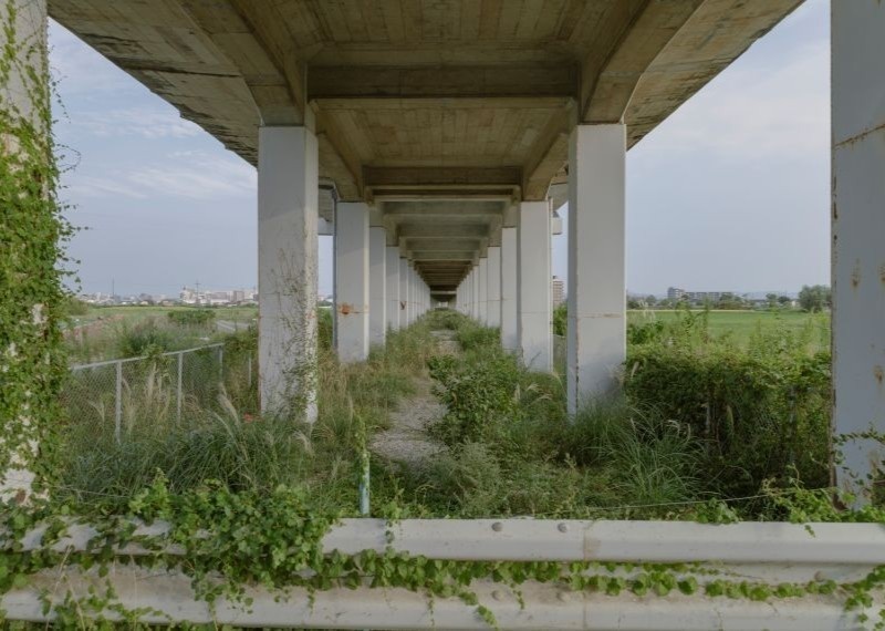 高架ドライブス