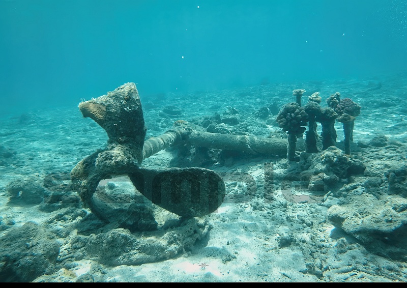 ニライカナイ ZINE Edition