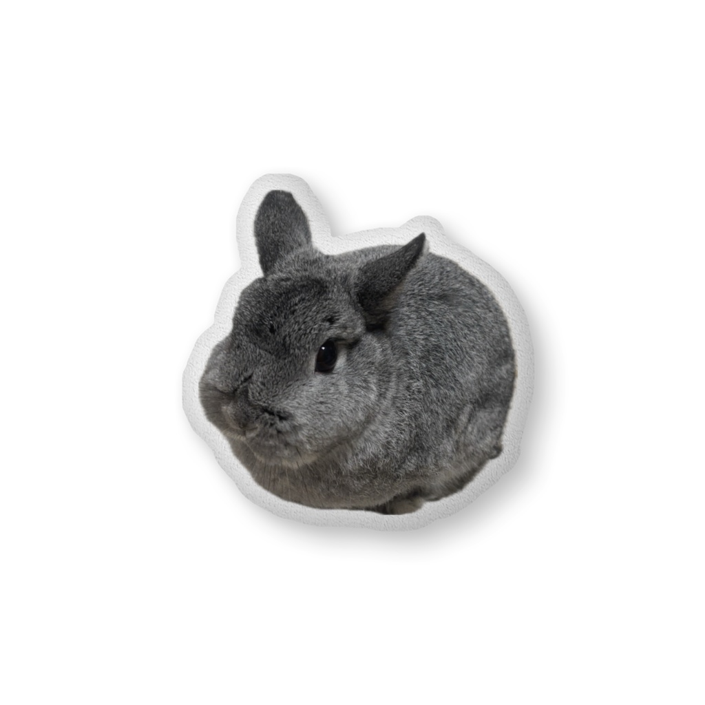 【常設】まんまるしぐれのふかふかクッション