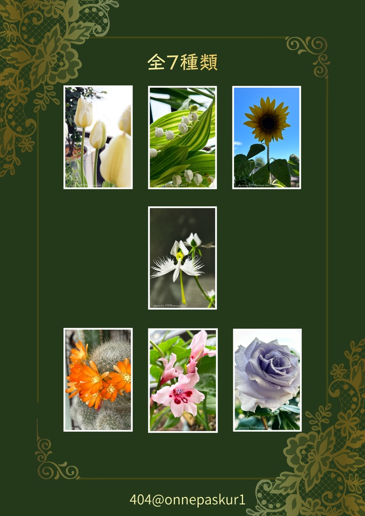 FRIENDS FLOWERS ポストカード