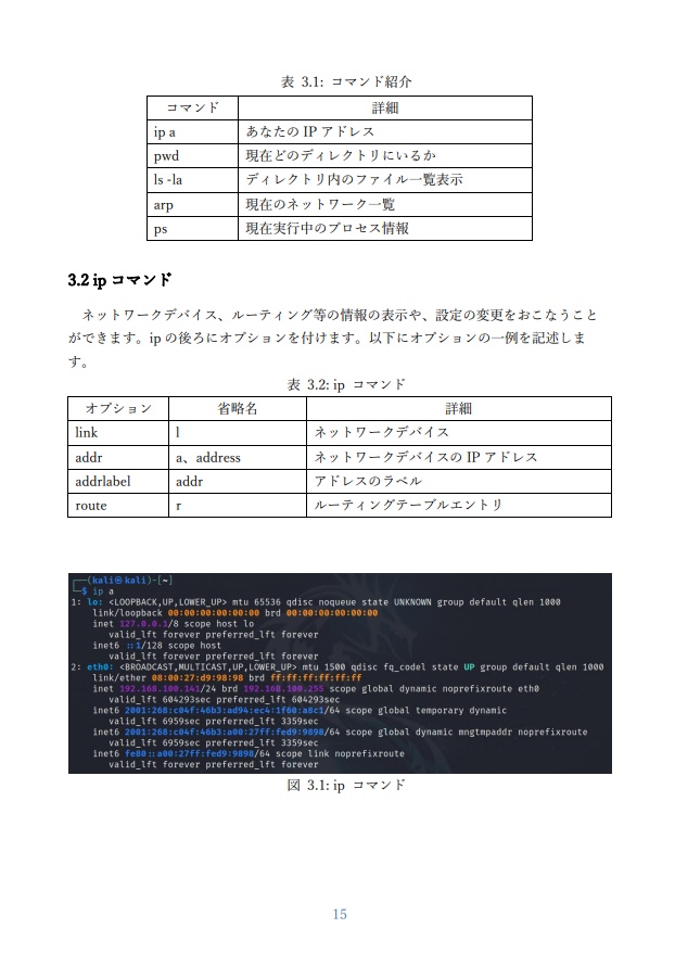 スタイリッシュ・ハッキング・ラボ - Kali & Python でメンタルクラッキング -